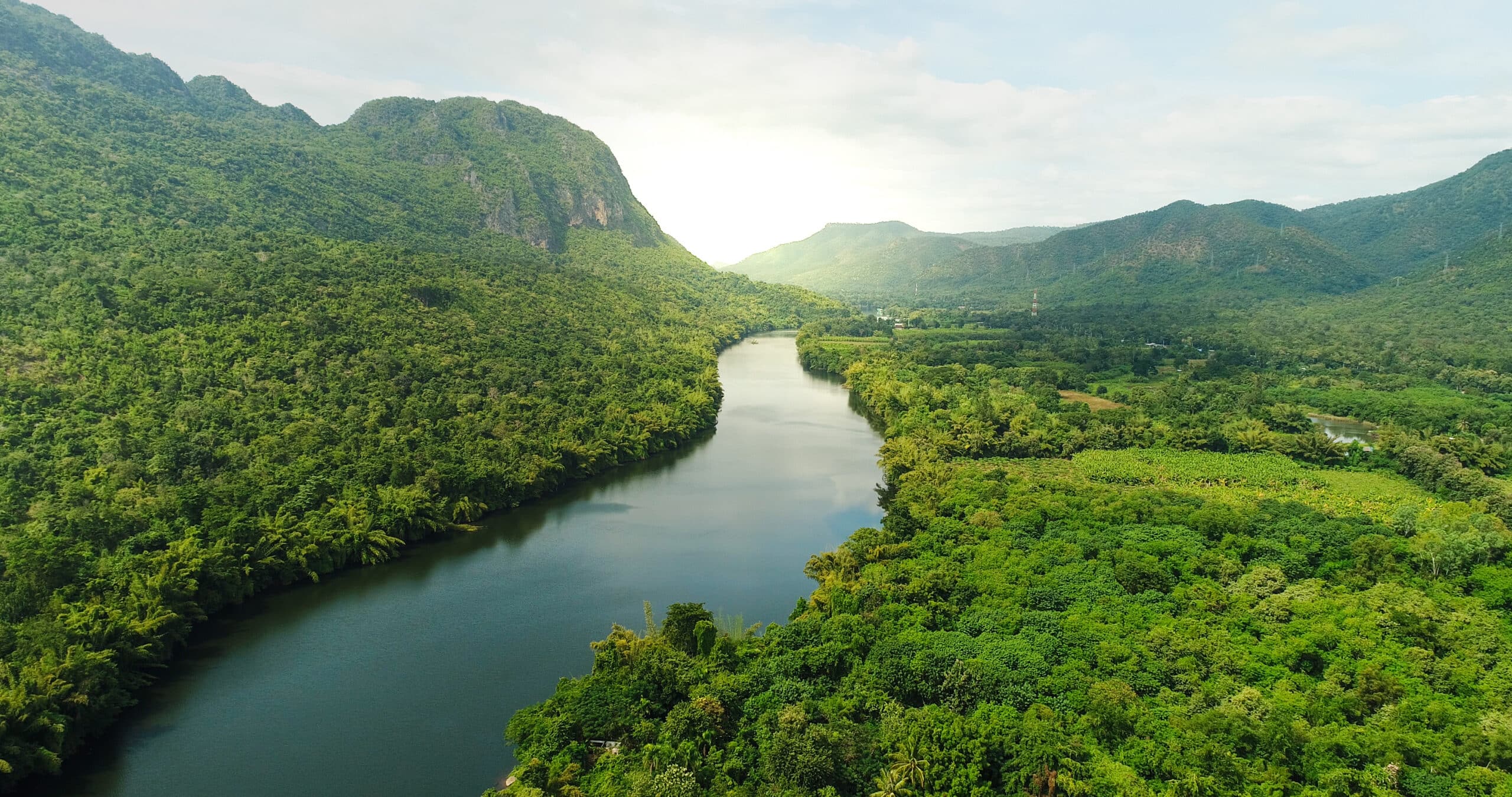 A wide shot of a winding river going through the middle of a dense jungle.