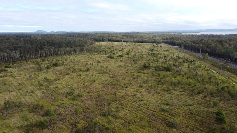 Aerial view of revegetation site with regenerating native vegetation bordered by dense forest and nearby roadway