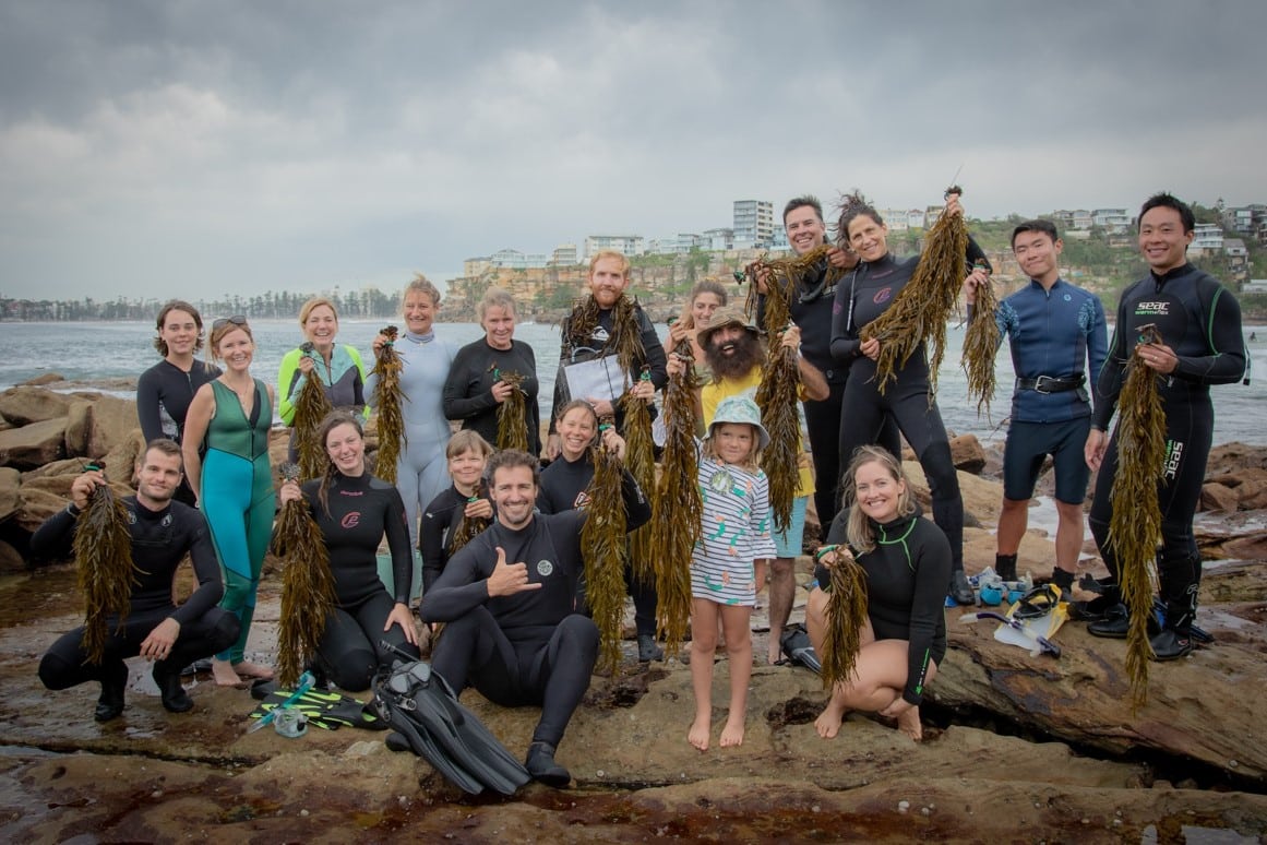 A group of divers holding up seaweed on the rocks at a beach