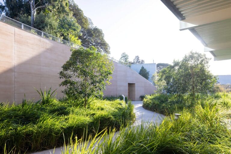 Landscaped garden with a winding path, native plants, and a curved modern building wall in sunlight.