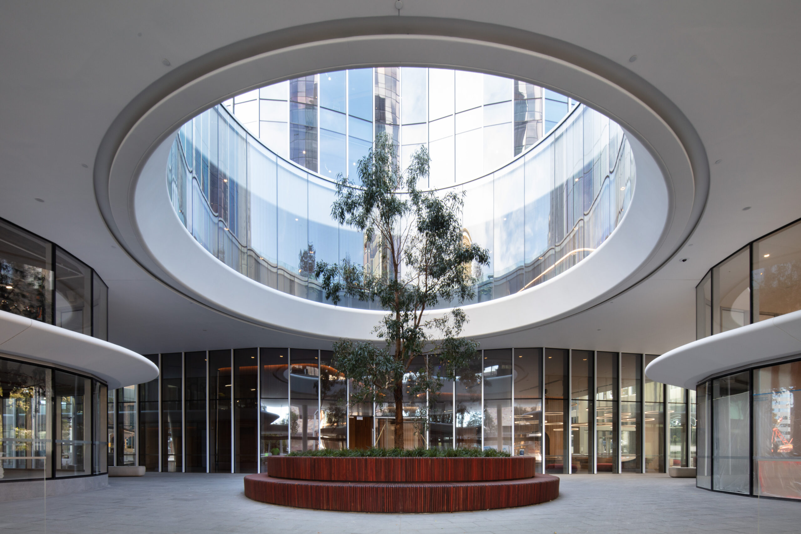 Modern circular courtyard with a central tree, surrounded by glass walls and an open skylight allowing natural light in