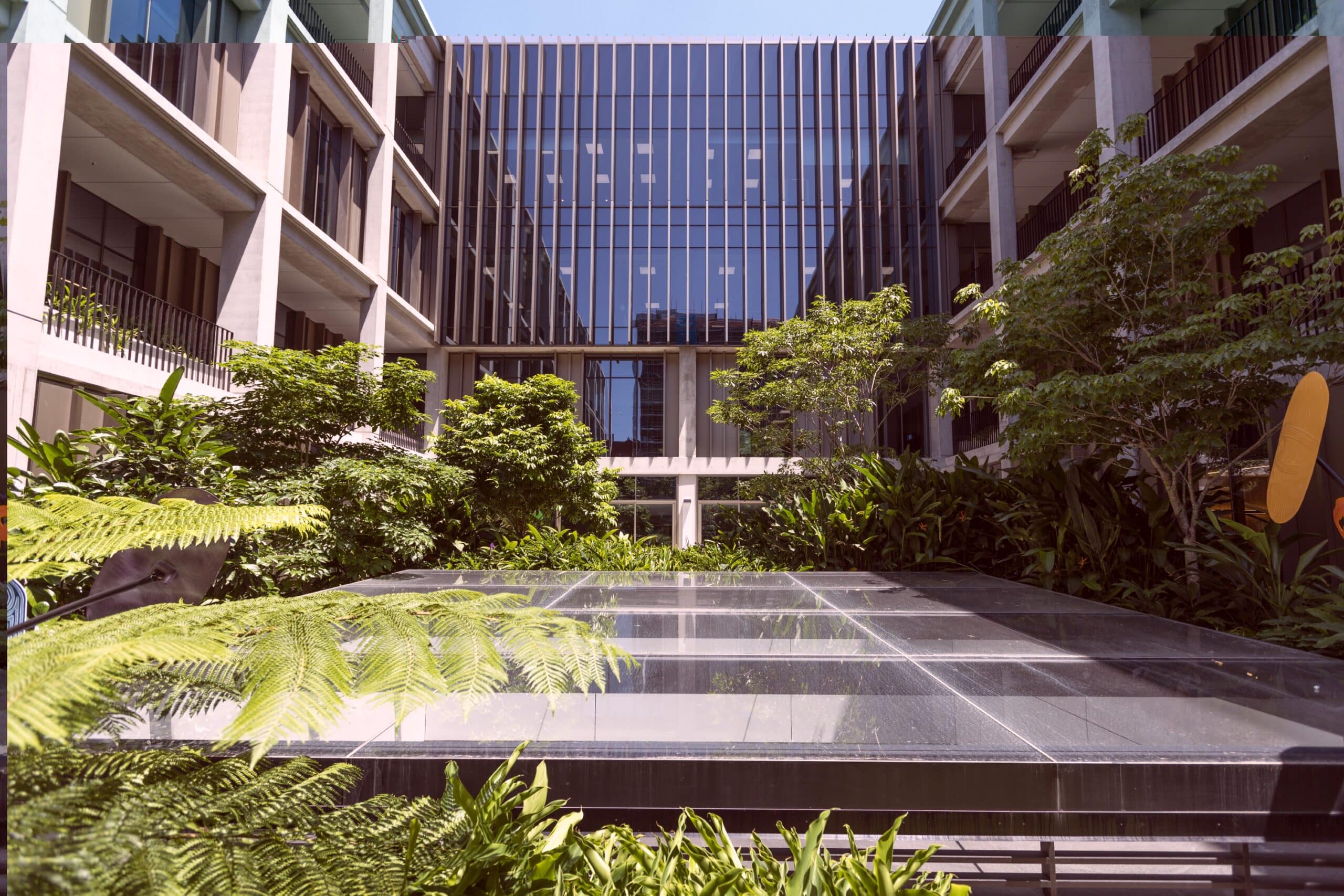 Courtyard at STARS Hospital with lush greenery, a glass-covered structure, and surrounding modern building façade.