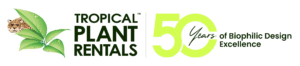 Tropical Plant Rentals